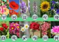 ZODIAC FLORAL