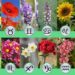 ZODIAC FLORAL