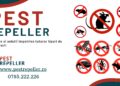 Argumente pentru a folosi un aparat cu ultrasunete anti șoareci