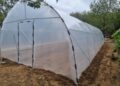 O decizie simplă, un rezultat surprinzător – cum a transformat un solar de grădină rutina unei familii ocupate