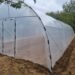 O decizie simplă, un rezultat surprinzător – cum a transformat un solar de grădină rutina unei familii ocupate